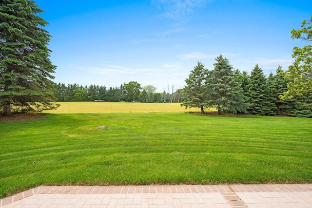 5330 Deer Trail Ln, Sheboygan, WI 53083 - view of green lawn