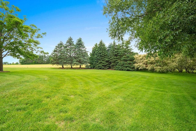 5330 Deer Trail Ln, Sheboygan, WI 53083 - view of green lawn