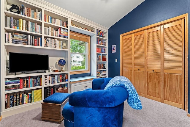 1630 Central St, Oshkosh, WI 54901 - sitting room with carpet flooring, vaulted ceiling, and built in shelves