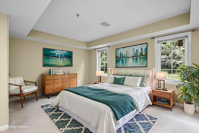 2855 River Birch Dr Unit D, Brookfield, WI 53045 - bedroom featuring light colored carpet, multiple windows, and a tray ceiling