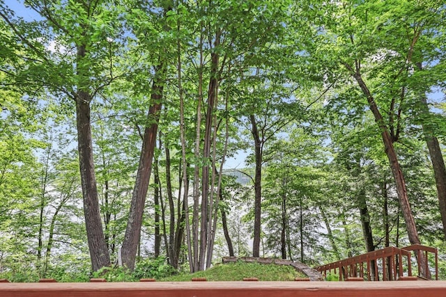 1780 Amik Lake Ln, Lac Du Flambeau, WI 54538 - water view
