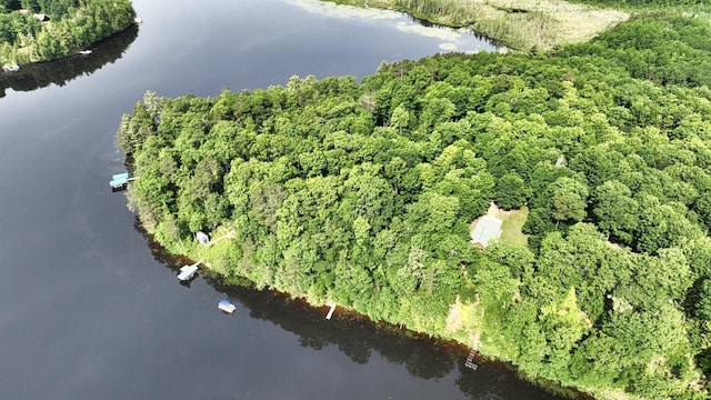 1780 Amik Lake Ln, Lac Du Flambeau, WI 54538 - aerial overview of property's location featuring a nearby body of water