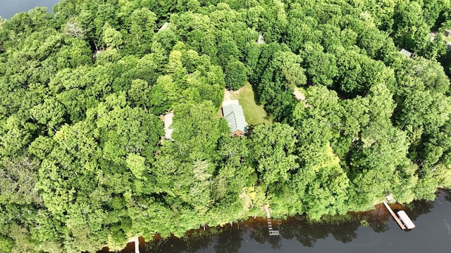 1780 Amik Lake Ln, Lac Du Flambeau, WI 54538 - view of property location featuring a large body of water