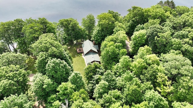 1780 Amik Lake Ln, Lac Du Flambeau, WI 54538 - view from above of property