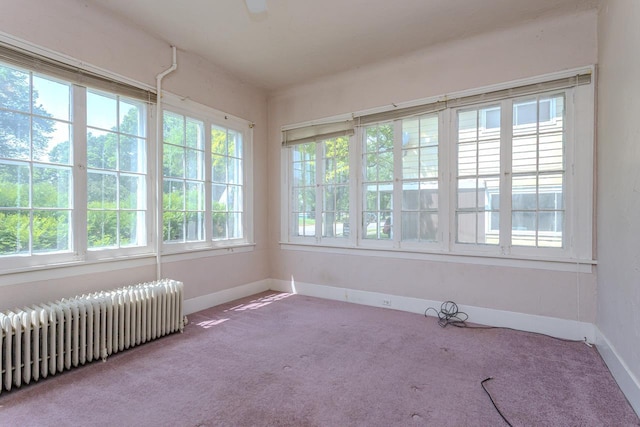 305 N Center Ave, Merrill, WI 54452 - unfurnished sunroom with radiator
