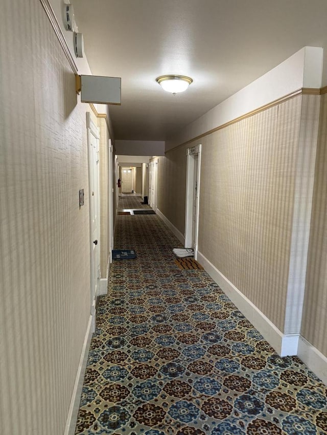 525 Dunbar Ave, Waukesha, WI 53186 - hall with carpet floors