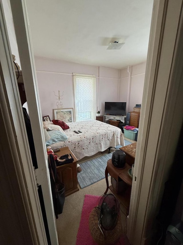 525 Dunbar Ave, Waukesha, WI 53186 - bedroom featuring carpet flooring