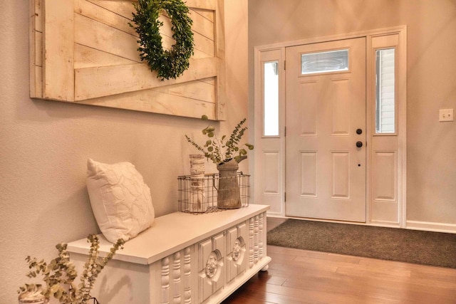 W195N5814 Deer Park Ct, Menomonee Falls, WI 53051 - foyer featuring wood finished floors and healthy amount of natural light