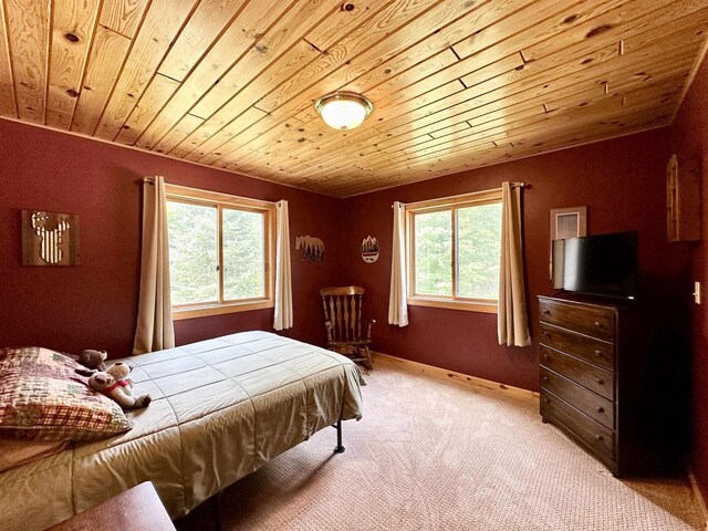 N6448 Neva Lake Rd, Deerbrook, WI 54424 - bedroom with wood ceiling, multiple windows, and light colored carpet