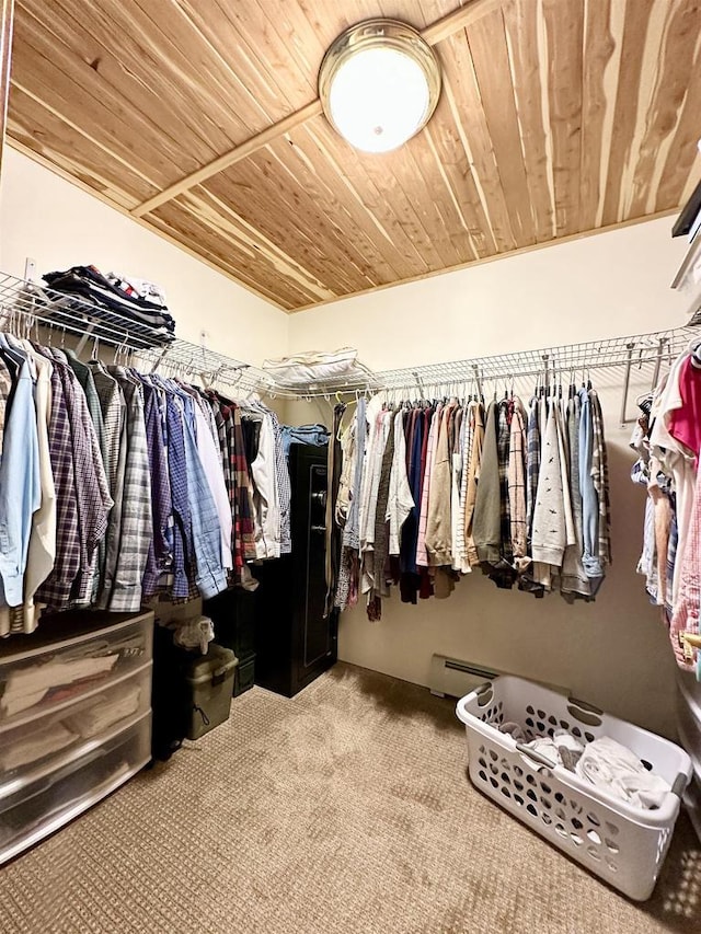 N6448 Neva Lake Rd, Deerbrook, WI 54424 - spacious closet featuring carpet floors