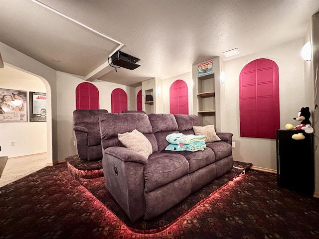 N6448 Neva Lake Rd, Deerbrook, WI 54424 - cinema featuring arched walkways, carpet flooring, a textured ceiling, and built in shelves