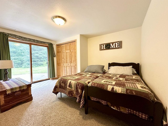 N6448 Neva Lake Rd, Deerbrook, WI 54424 - bedroom with access to outside, carpet flooring, and a closet