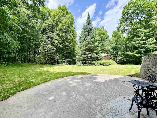 N6448 Neva Lake Rd, Deerbrook, WI 54424 - view of patio / terrace