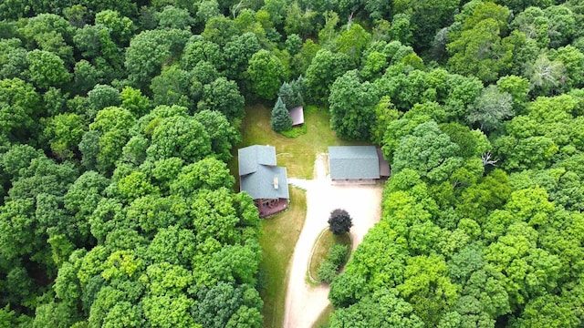 N6448 Neva Lake Rd, Deerbrook, WI 54424 - aerial overview of property's location