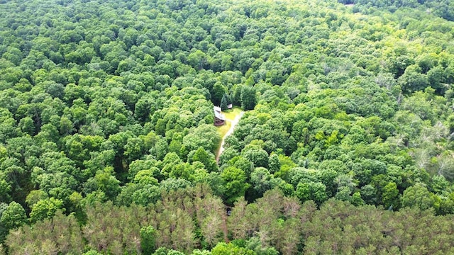 N6448 Neva Lake Rd, Deerbrook, WI 54424 - drone / aerial view of a forest
