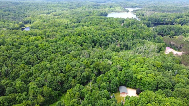 N6448 Neva Lake Rd, Deerbrook, WI 54424 - drone / aerial view of a heavily wooded area and a large body of water