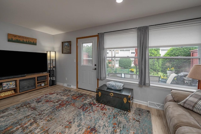 1363 Josephine St Unit E, Waukesha, WI 53186 - living room featuring healthy amount of natural light and wood finished floors