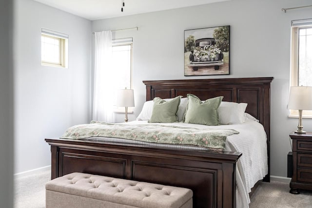 1255 Winterberry Rd, Oconomowoc, WI 53066 - bedroom featuring carpet flooring