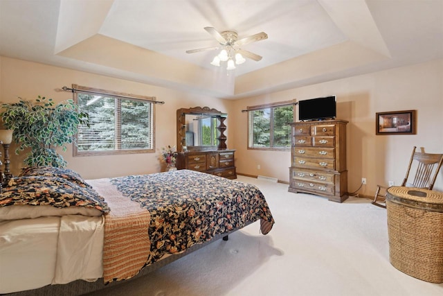330 W Florida Ave, Appleton, WI 54911 - bedroom featuring a raised ceiling, light carpet, and a ceiling fan