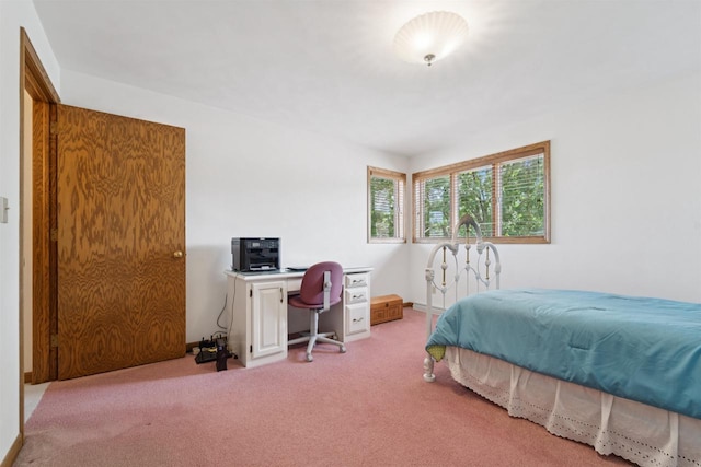 330 W Florida Ave, Appleton, WI 54911 - bedroom with carpet flooring
