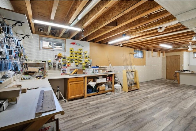 2282 71st St, Luck, WI 54853 - below grade area with a workshop area and light wood-style floors