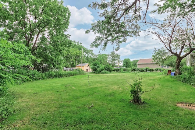 N1236 Walnut Rd, Genoa City, WI 53128 - view of grassy yard