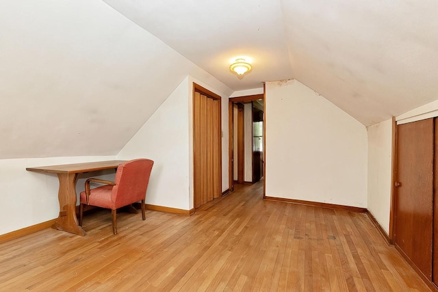 N1236 Walnut Rd, Genoa City, WI 53128 - bonus room featuring light wood-style flooring and lofted ceiling