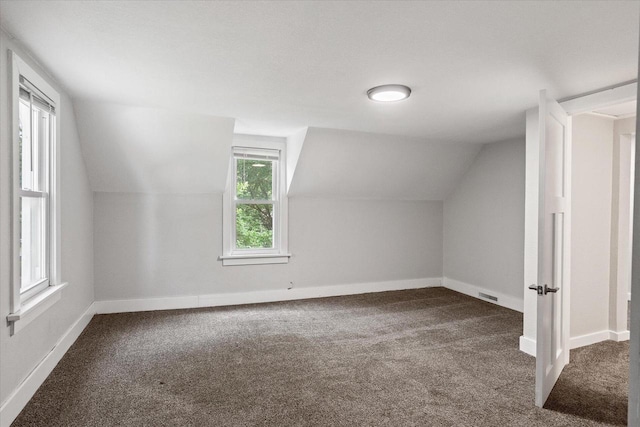 624 S Main St, Westby, WI 54667 - additional living space with vaulted ceiling and dark carpet