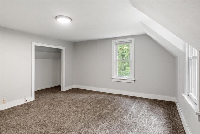 624 S Main St, Westby, WI 54667 - additional living space featuring carpet floors and vaulted ceiling