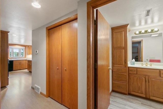 S7663 W Grandview Ave, Merrimac, WI 53561 - hall featuring a sink and light wood-style flooring