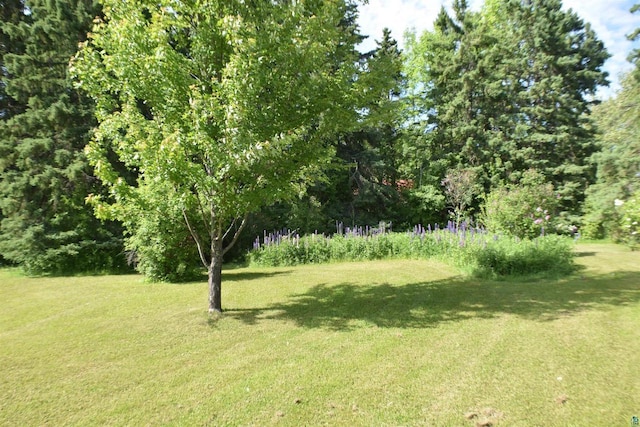 22630 Elm St, Cornucopia, WI 54827 - view of green lawn