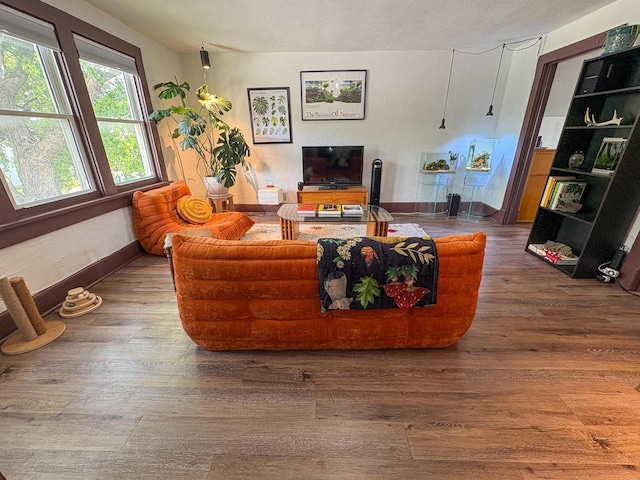 417 W 7th Ave, Oshkosh, WI 54902 - living room featuring wood finished floors and a textured ceiling