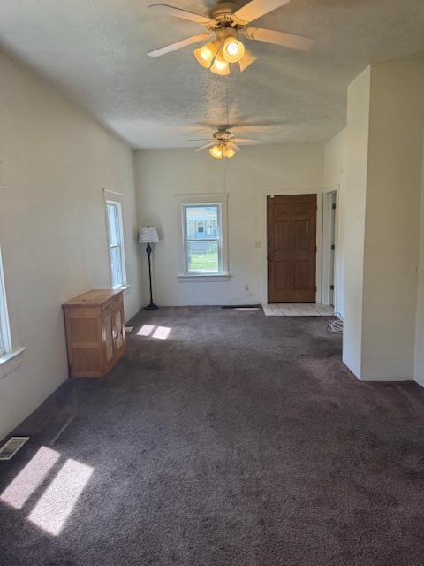 1225 Merrill St, Beloit, WI 53511 - spare room featuring dark colored carpet, ceiling fan, and a textured ceiling