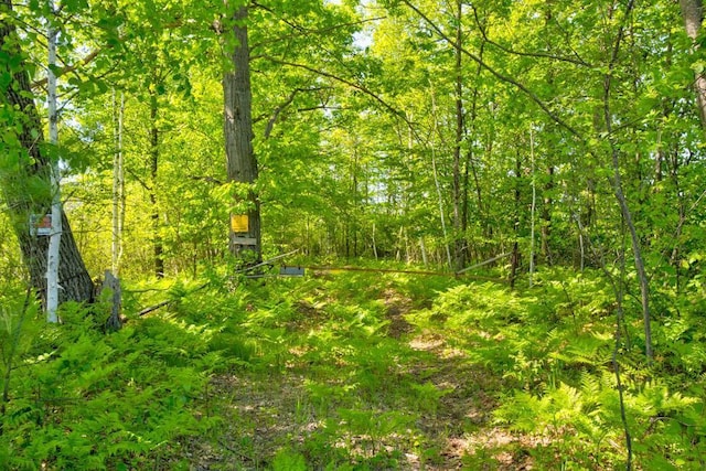Nettleton Rd, Marinette, WI 54143