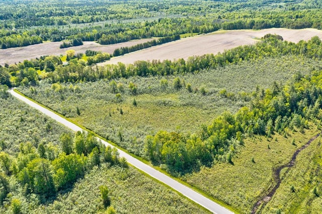 Nettleton Rd, Marinette, WI 54143