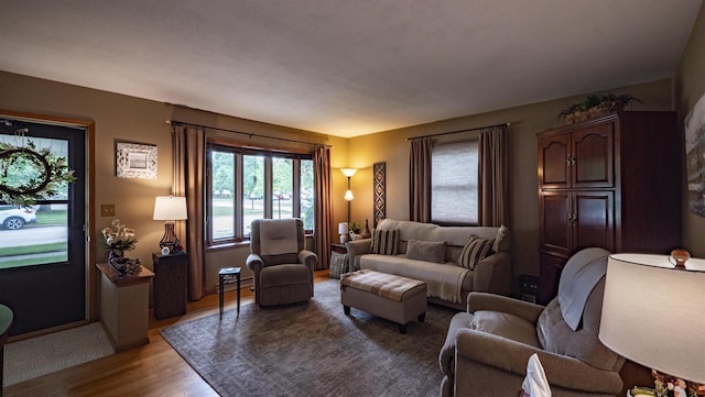 132 N Eagle St, Oshkosh, WI 54902 - living area featuring light wood-style flooring and plenty of natural light
