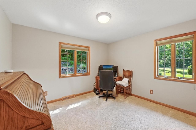 520 Bayberry Ln, Slinger, WI 53086 - office space featuring carpet flooring and baseboards
