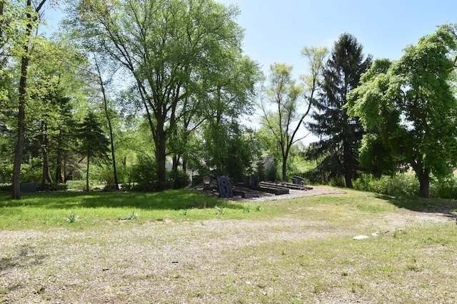 11811 213th Ave, Bristol, WI 53104 - view of yard