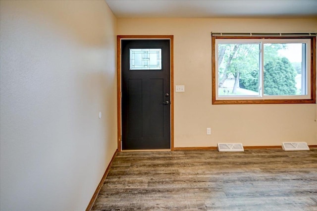 5716 Sauk Ln, Mcfarland, WI 53558 - foyer entrance featuring wood finished floors and plenty of natural light