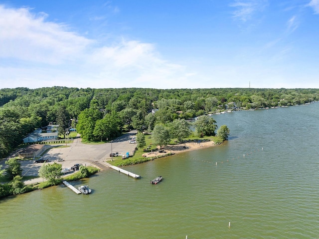 N3245 Walnut Rd, Lake Geneva, WI 53147 - bird's eye view of a large body of water