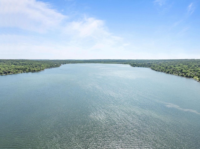 N3245 Walnut Rd, Lake Geneva, WI 53147 - water view featuring a forest