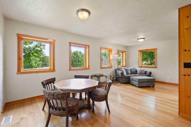 N3245 Walnut Rd, Lake Geneva, WI 53147 - dining space with light wood finished floors and a textured wall