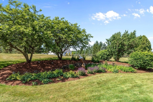 1948 Field Cliffe Dr, Richfield, WI 53076 - view of green lawn