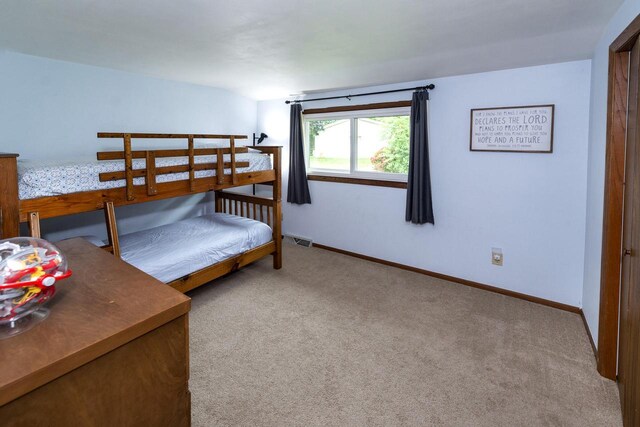1882 Davis Ln, Waukesha, WI 53189 - bedroom featuring carpet flooring