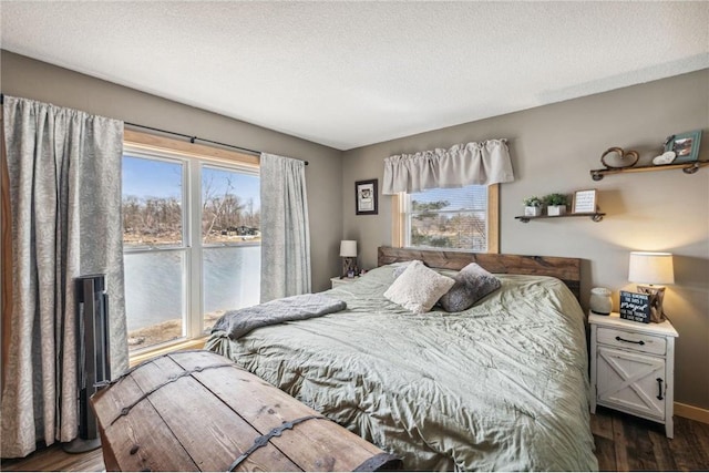 2029 Richardson Ct, Luck, WI 54853 - bedroom with dark wood-type flooring, multiple windows, a textured ceiling, and a water view