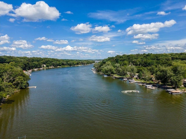 442 E Richardson Springs Rd, Edgerton, WI 53534 - water view featuring a heavily wooded area