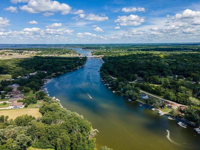 442 E Richardson Springs Rd, Edgerton, WI 53534 - bird's eye view of a nearby body of water and a forest