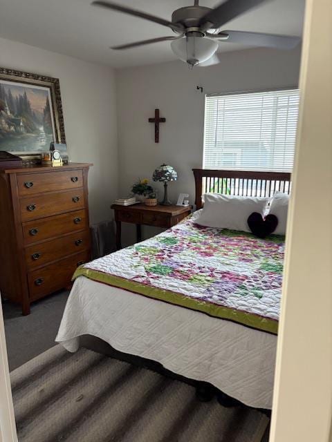 1965 N Windsor Ave, Cottage Grove, WI 53527 - bedroom with carpet and ceiling fan