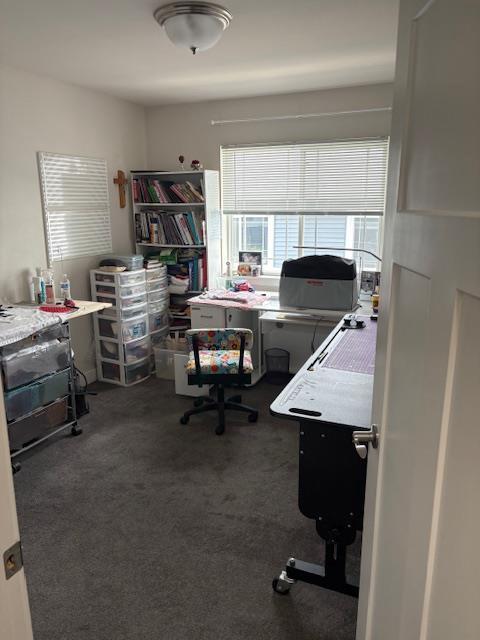 1965 N Windsor Ave, Cottage Grove, WI 53527 - home office with carpet floors