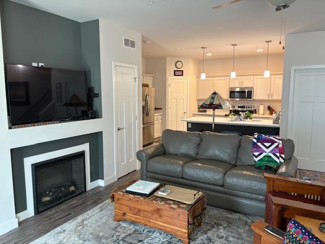 1965 N Windsor Ave, Cottage Grove, WI 53527 - living room with dark wood finished floors, ceiling fan, and a glass covered fireplace